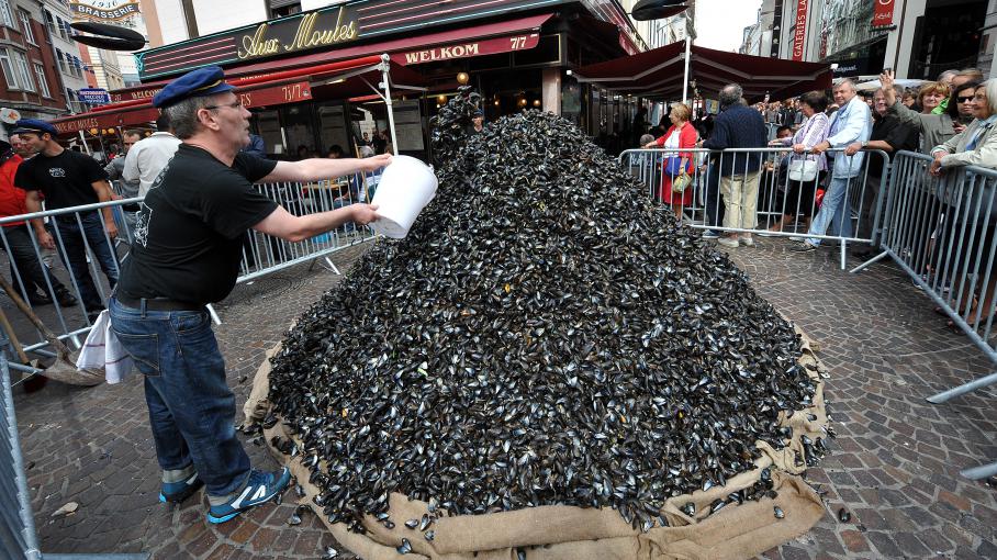 VIDEO Une montagne de moules à la braderie de Lille