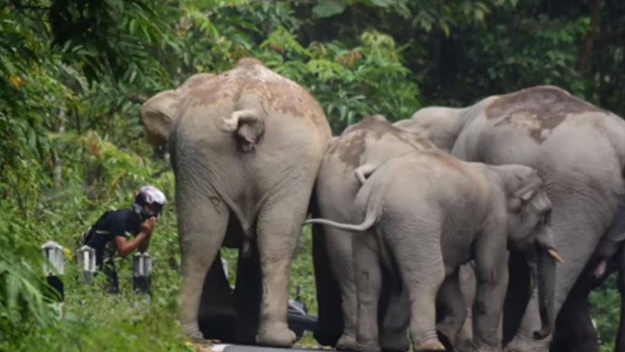 rencontre francais thailande