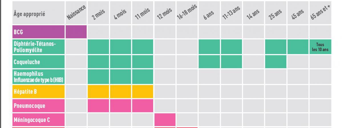 Vaccination : un calendrier de rappels simplifié