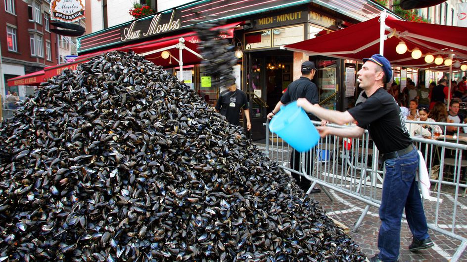 Braderie De Lille Quand Les Coquilles De Moules Se Transforment En