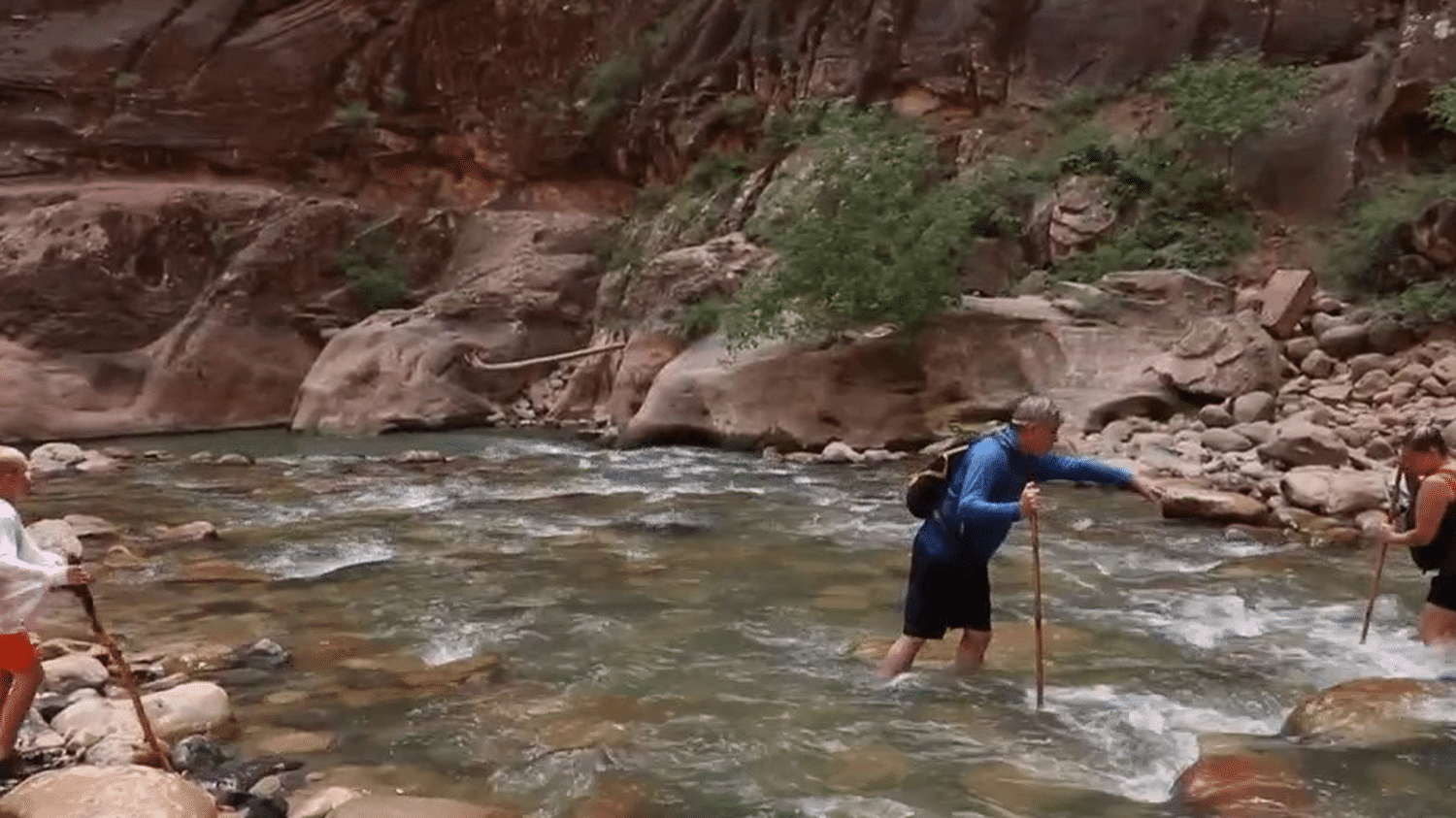 Tats Unis Immersion Dans Le Parc National De Zion