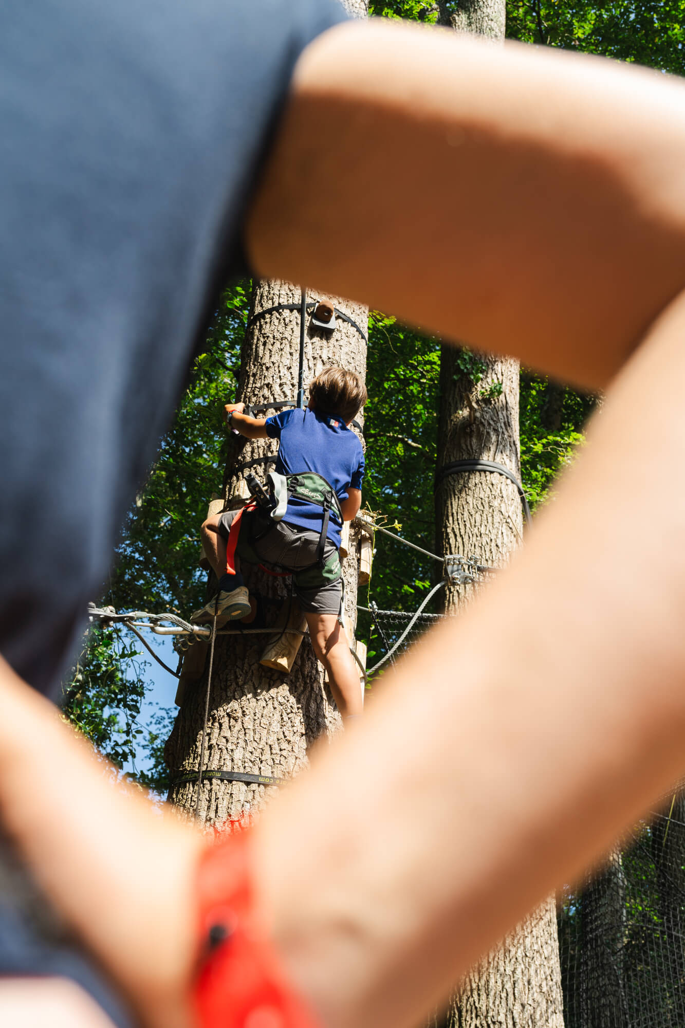 Tree climbing