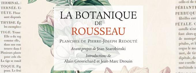 La Botanique De Rousseau Lamour Des Plantes Dun - 