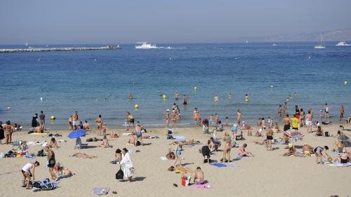 Marseille : la baignade en mer, même en automne, la recette du moral