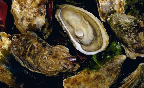 Charente-Maritime : les huîtres contaminées par le virus de la gastro-entérite