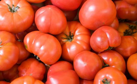 Pollution : l'envers du décor de la production de tomates espagnoles