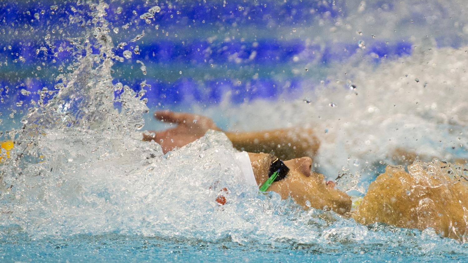 Natation La France Championne Deurope Du 4x100 M Libre Messieurs 0151