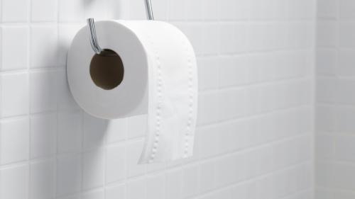 Papier toilette : pourquoi une telle ruée ?