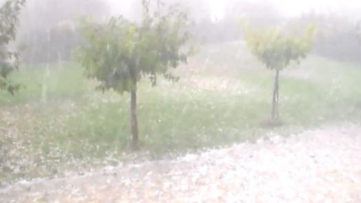 VIDEO. Une tempête de grêle et des vents violents ont frappé le Var