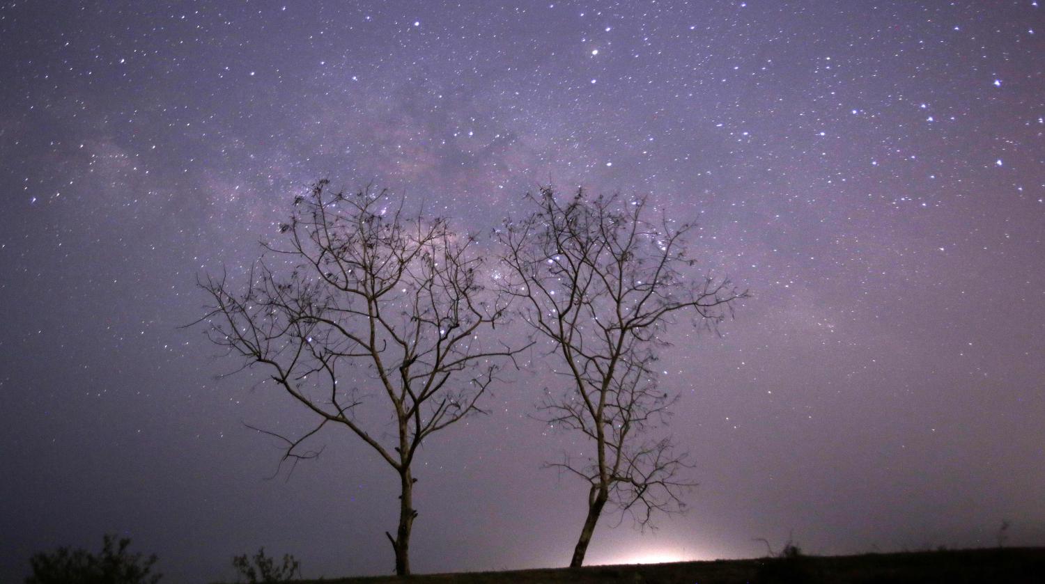 Video Une Pluie Détoiles Filantes Tombe Sur Le Nord Est De