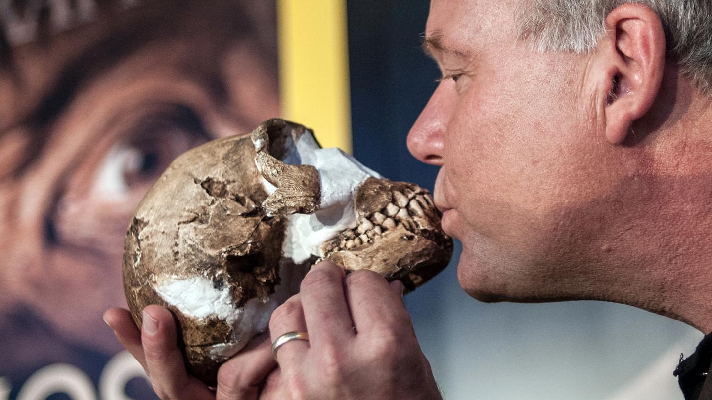 Afrique du Sud : découverte de l'Homo naledi, une ancienne espèce humaine inconnue 6898753