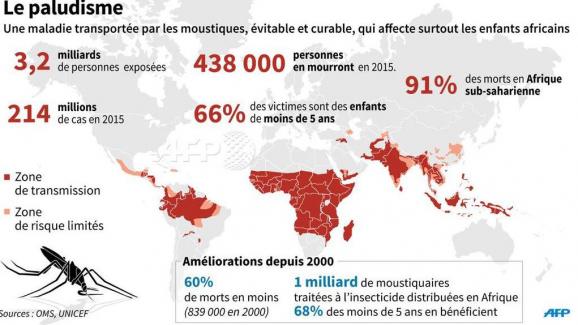  Paludisme  6 millions de vies pargn es en 15 ans l 