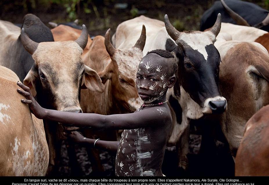 «Pastorale africaine» ou la vie des enfants-bergers d’Ethiopie