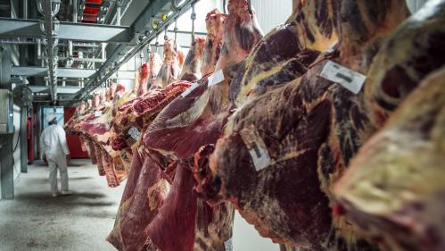 Coronavirus : les contaminations dans les abattoirs se multiplient