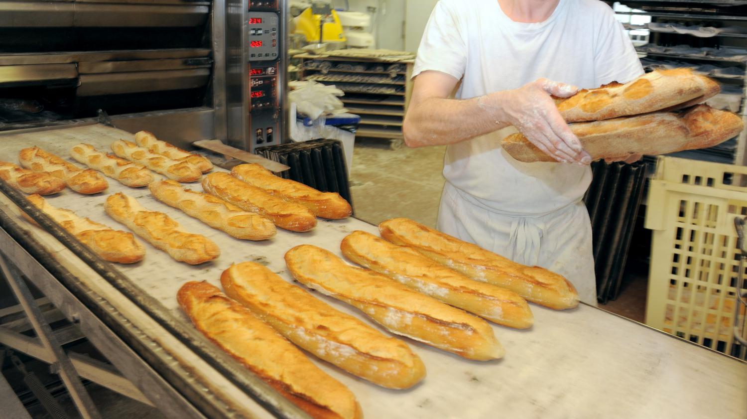 Boulangerie : Produire Son Pain, Du Champ Au Fournil