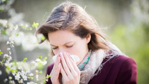 Allergies saisonnières : le nombre d'inflammations explose