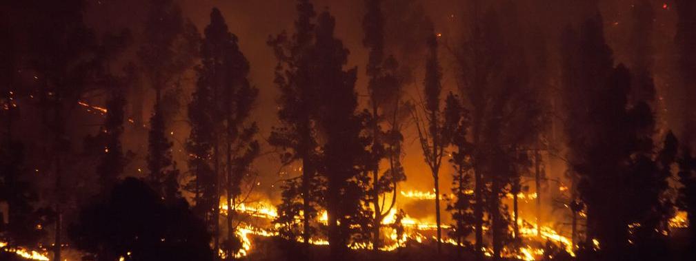 se rapproche dangereusement du village de Fuencaliente, sur l\'île de La Palma. Trois avions, huit hélicoptères sont engagés dans la lutte contre cet incendie qui a échappé à tout contrôle. Un garde forestier est décédé en tentant de combattre les flammes. Pas moins de 2.500 personnes ont dû être évacuées, et 3.500 hectares ont d\'ores et déjà brûlé. Un Allemand résidant dans l\'île a reconnu être à l\'origine du sinistre. L\'homme de 27 ans a avoué qu\'après avoir déféqué, il avait mis le feu au papier de toilette utilisé, avec les conséquences que l\'on peut observer... 