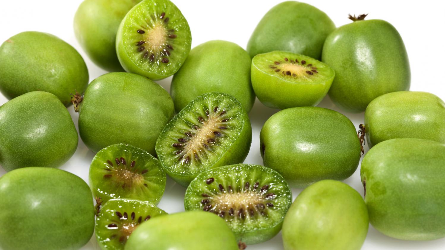 L'Actinidia Issaï : Un Kiwi Rustique Et Sucré