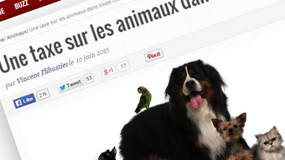 Non Les Animaux Domestiques Ne Seront Pas Taxés