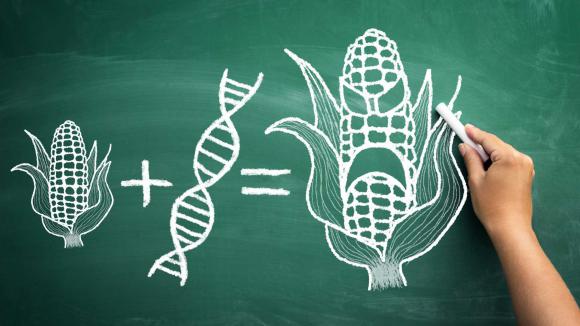 Inquietudes Sur Les Nouveaux Ogm