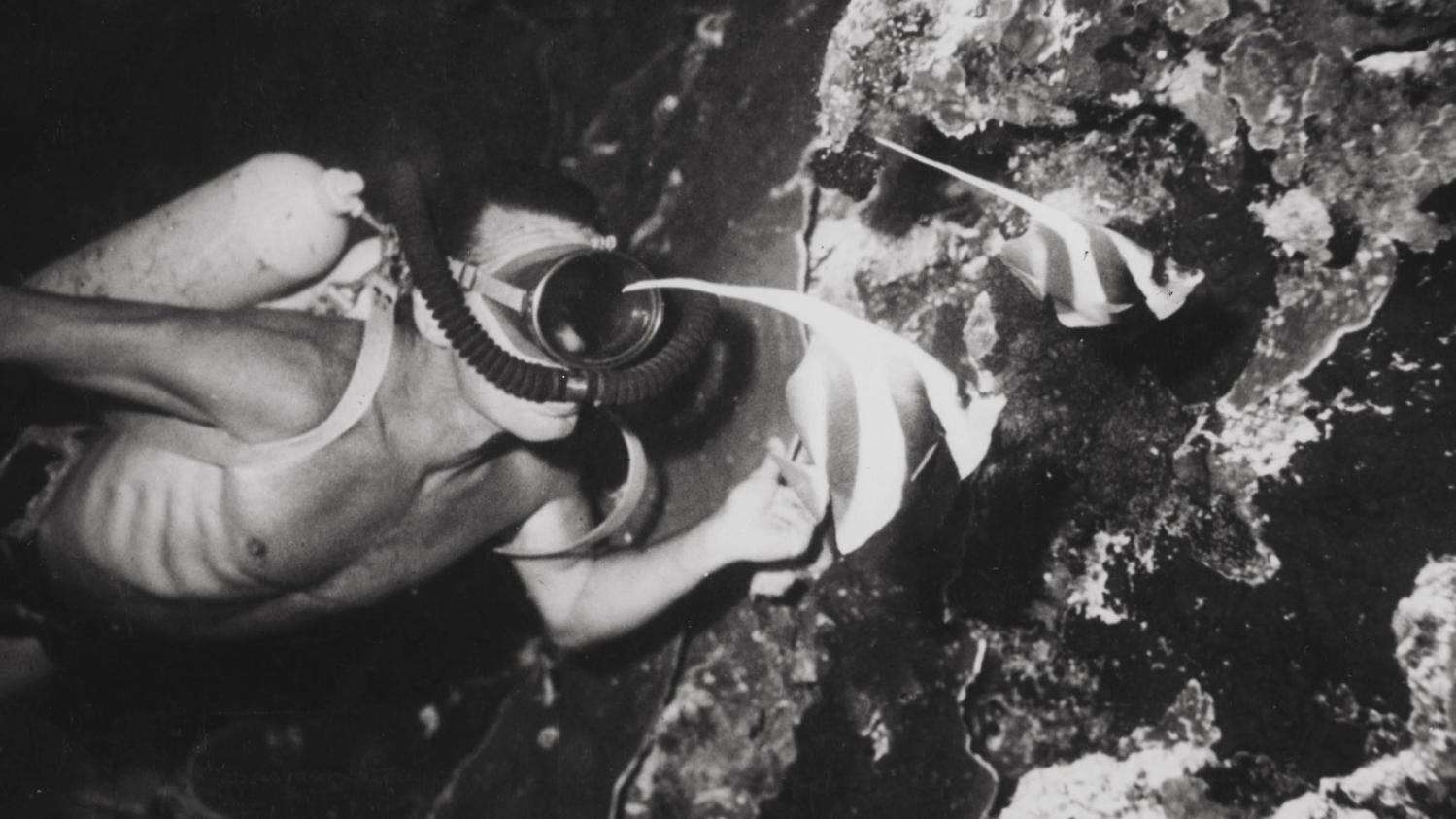 Jacques Yves Cousteau Pionnier De L Image Sous Marine