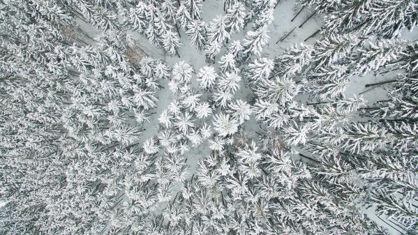 Bourgogne-Franche-Comté : le massif du Morvan fait le plein de touristes