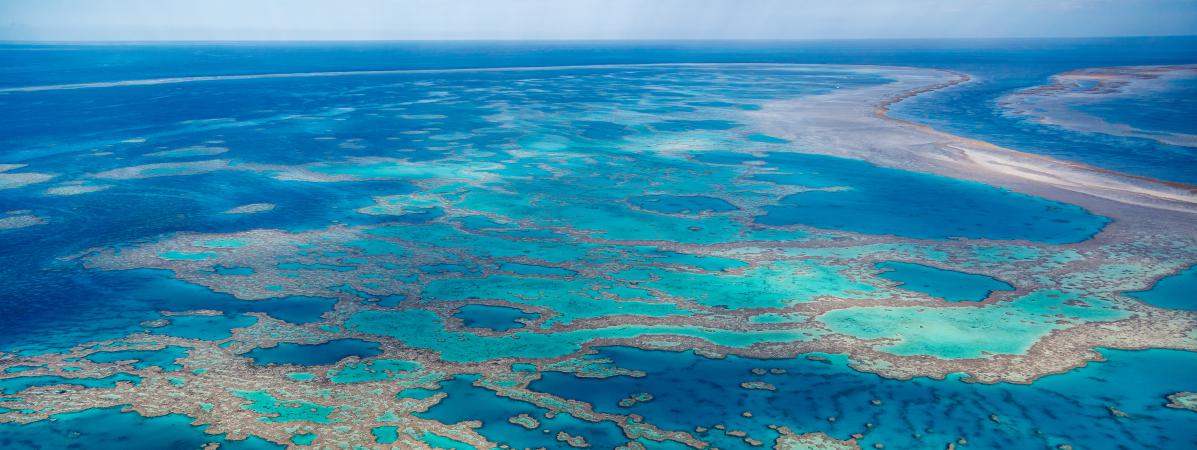 découverte grande barrière de corail