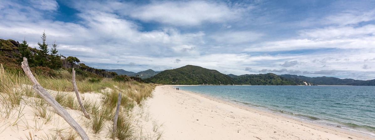 Nouvelle Zélande Une Plage Paradisiaque Privée Redevient