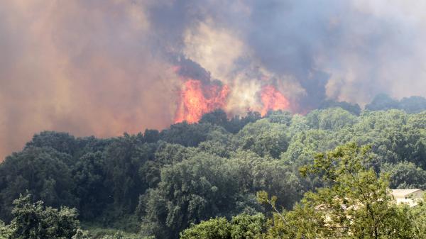 Corse : Plus de 1 000 hectares de végétation ravagés par les incendies