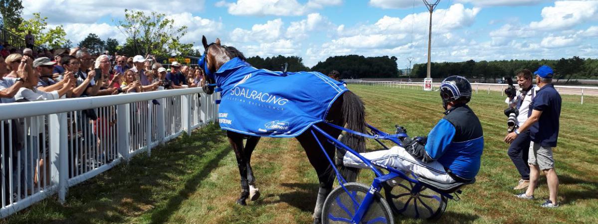 acheter un cheval de course trotteur