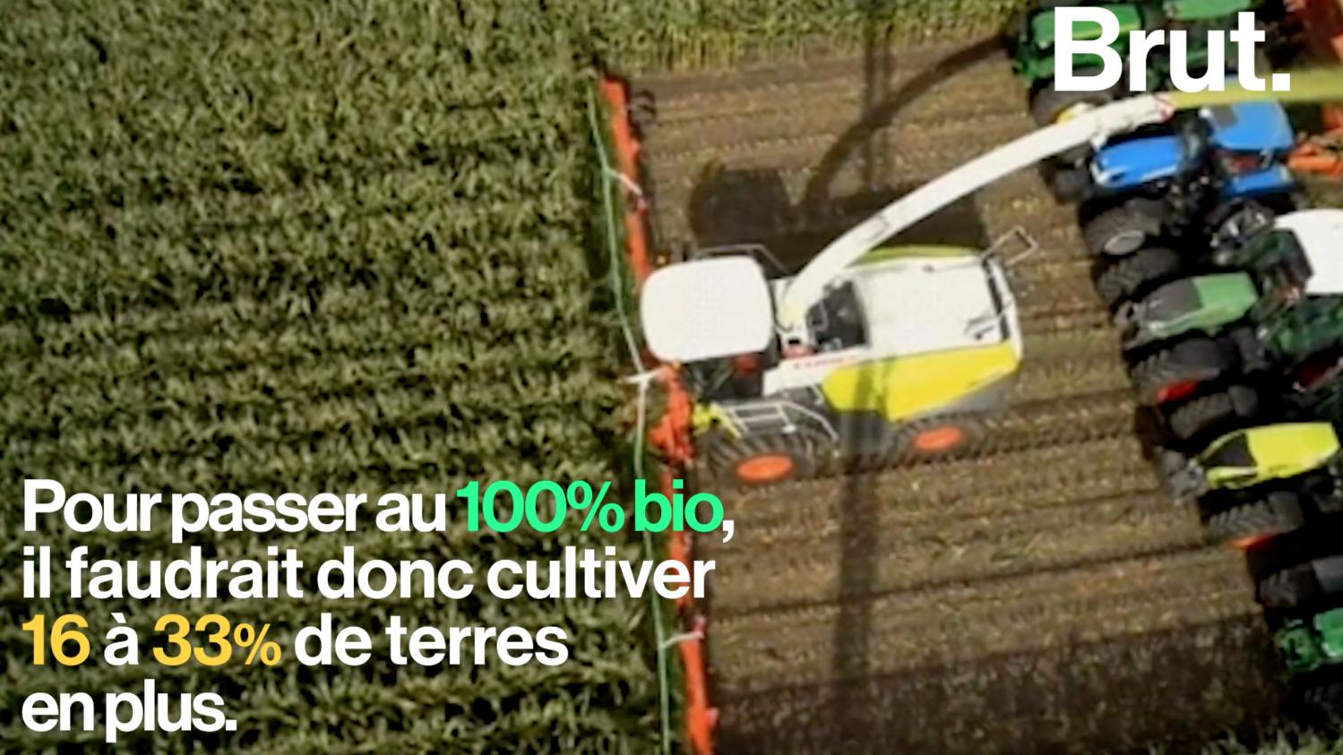 Comment Une Agriculture 100% Bio Pourrait Nourrir Toute La Planète En 2050