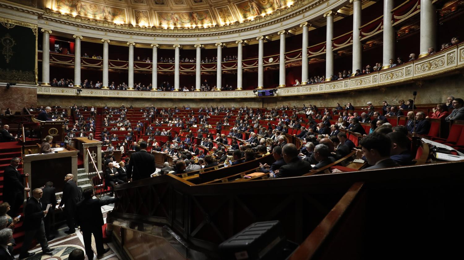 Assemblée nationale  le salaire des députés fait polémique