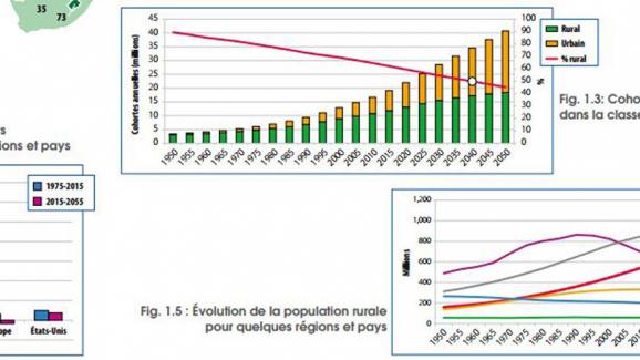 Afrique subsaharienne «Un monde rural en croissance et en mouvement»