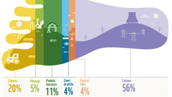 Aujourd’hui, la composante carbone liée à la combustion d’énergies fossiles représente plus de la moitié de l’empreinte de la France (56%). Elle est suivie des composantes cultures (20%) et produits forestiers (11%).