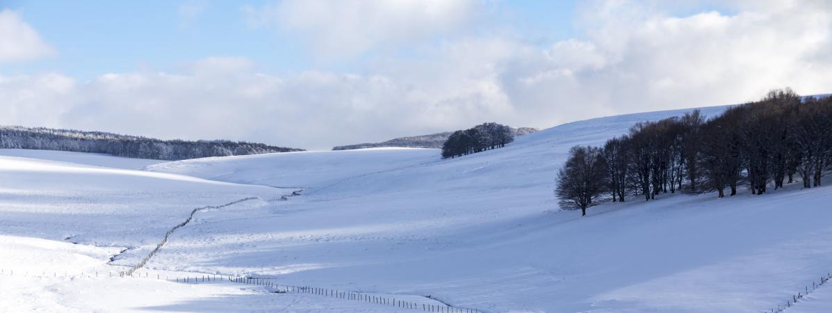 Le plateau de l\'Aubrac, dans le Cantal, recouvert de neige, le 10 février 2018.