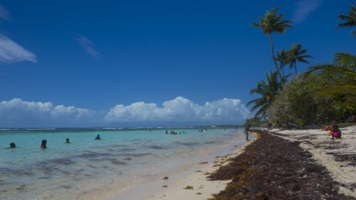 Les Antilles apprécient le retour des touristes, mais craignent le coronavirus