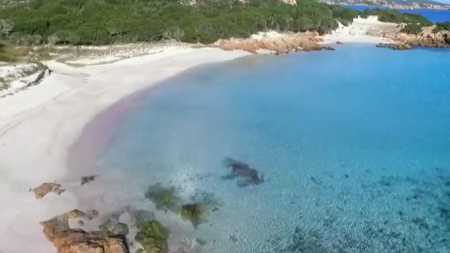 Plages Du Monde Lor Rose De Budelli