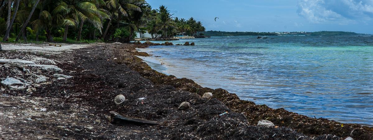 Cest Une Catastrophe En Guadeloupe La Démission De