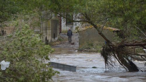 Narbonne Les Hirondelles Veulent Bâtir Des Nids Inclusifs