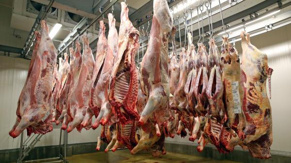 Coronavirus : plus de 100 cas positifs dans un abattoir breton, signale l'Agence régionale de santé