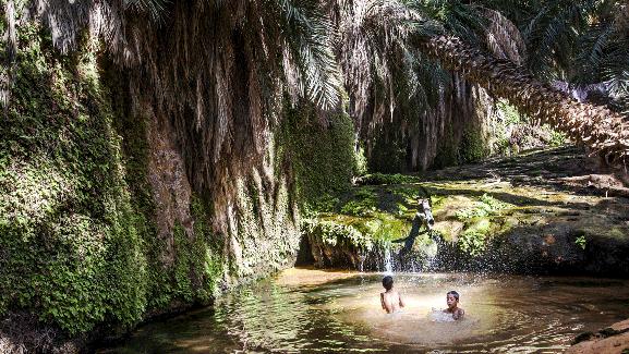 La petite oasis de Terjit, au sud d\'Atar.