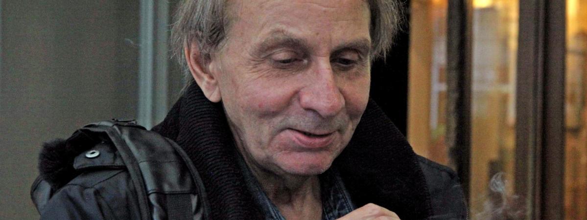 Le Phénomène Houellebecq - 