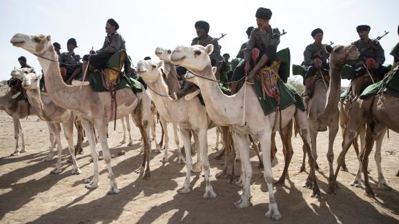 Les méharistes de la Garde nationale mauritanienne&nbsp;