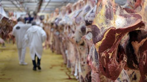 Viande : quelle consommation pour les Français ?