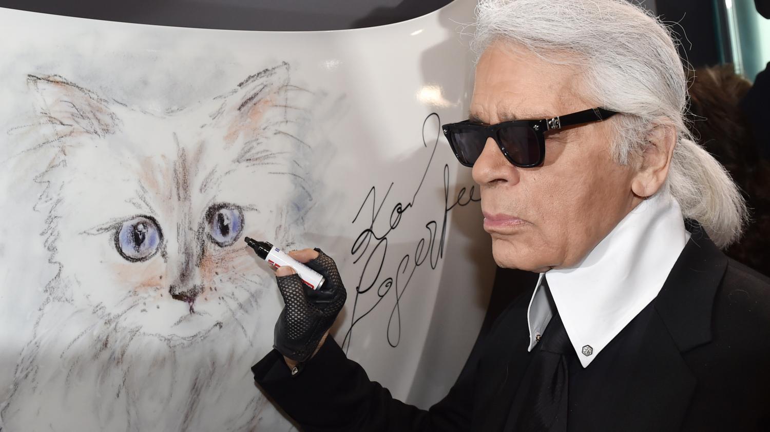 Choupette, La Chatte De Karl Lagerfeld, Peut-elle Vraiment Hériter D ...