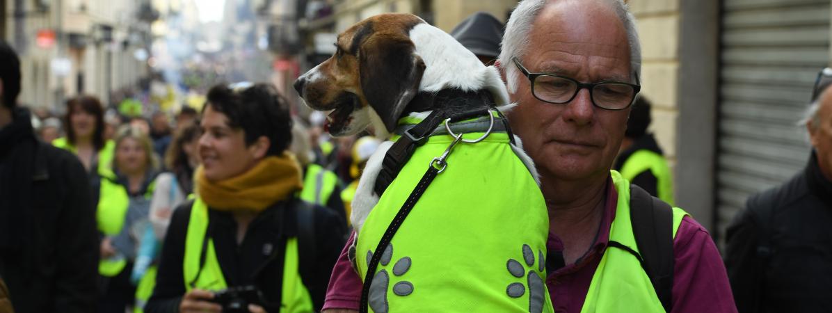 Gilets Jaunes 39 300 Manifestants En France En Baisse