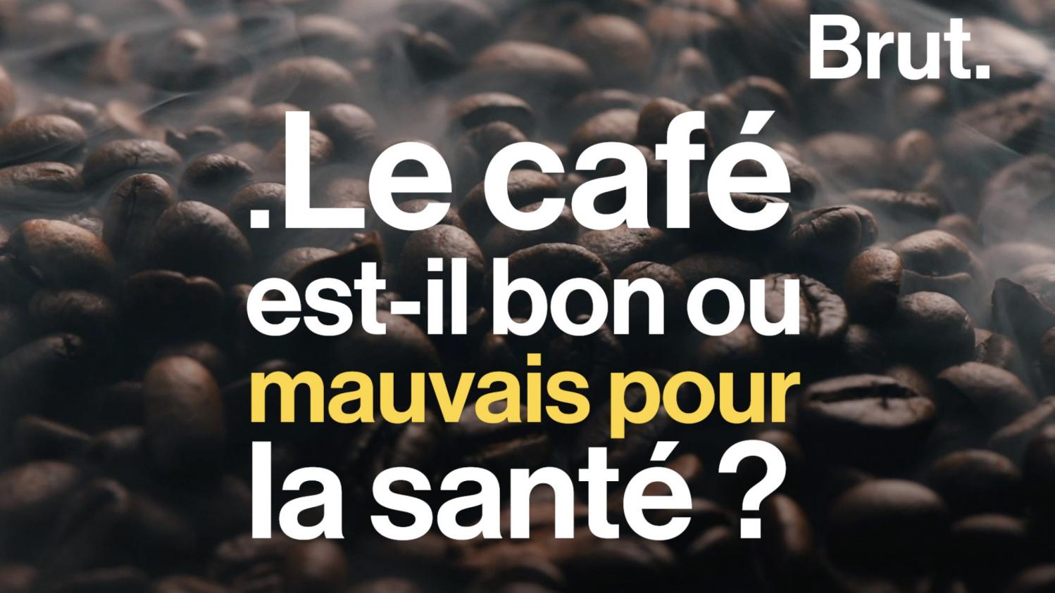 Video Le Café Est Il Bon Ou Mauvais Pour La Santé 