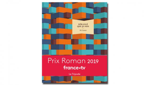 Prix Roman France Télévisions Dérangé Que Je Suis Dali - 