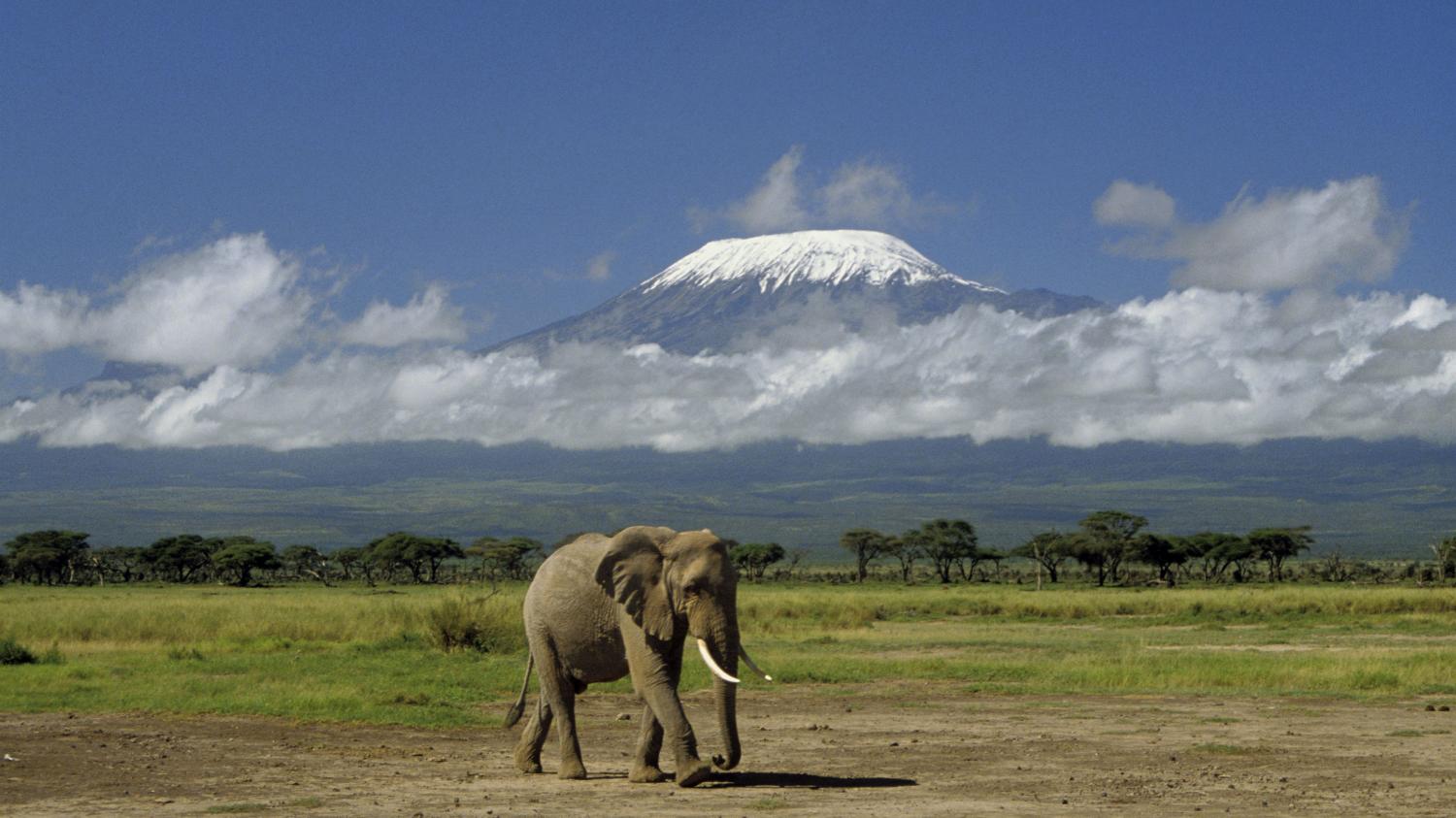 Du Mont Meru Au Kilimandjaro