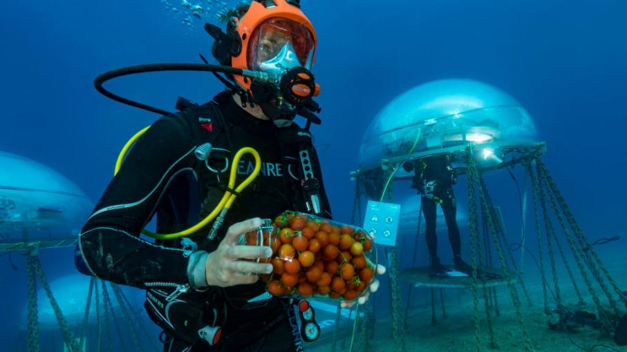 On S'y Emploie. Quels Seront Les Métiers Du Futur